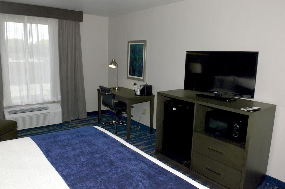 Standard Room, 1 King Bed, Non Smoking, Refrigerator & Microwave photo 2