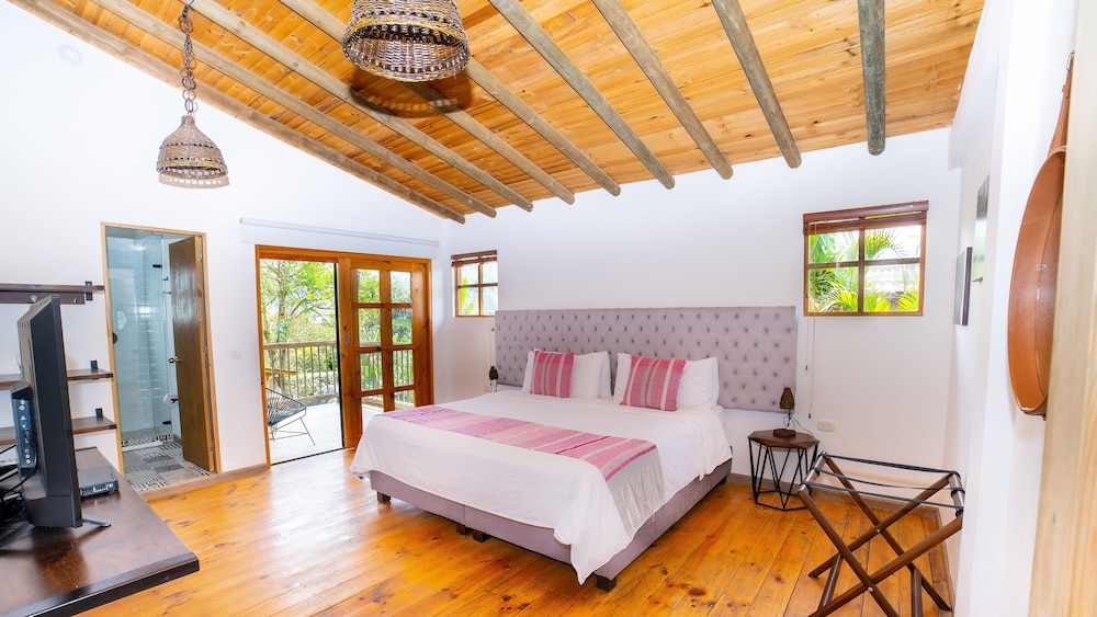 Room, 1 King Bed, Terrace, Mountain View photo 2