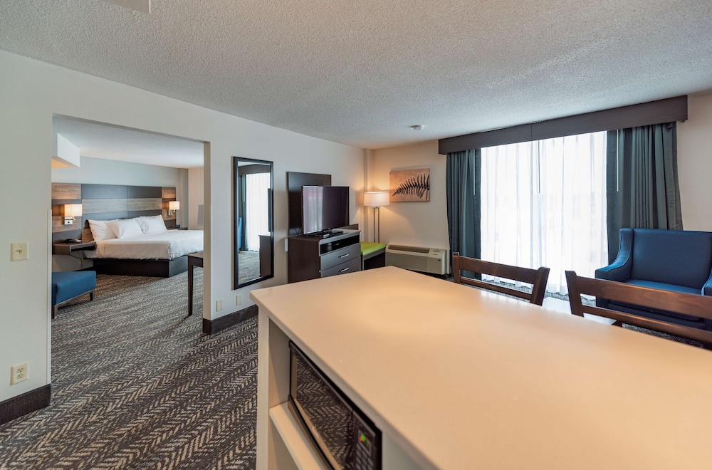Suite, 1 King Bed, Non Smoking, Kitchenette (Walk-In Shower;With Sofabed)