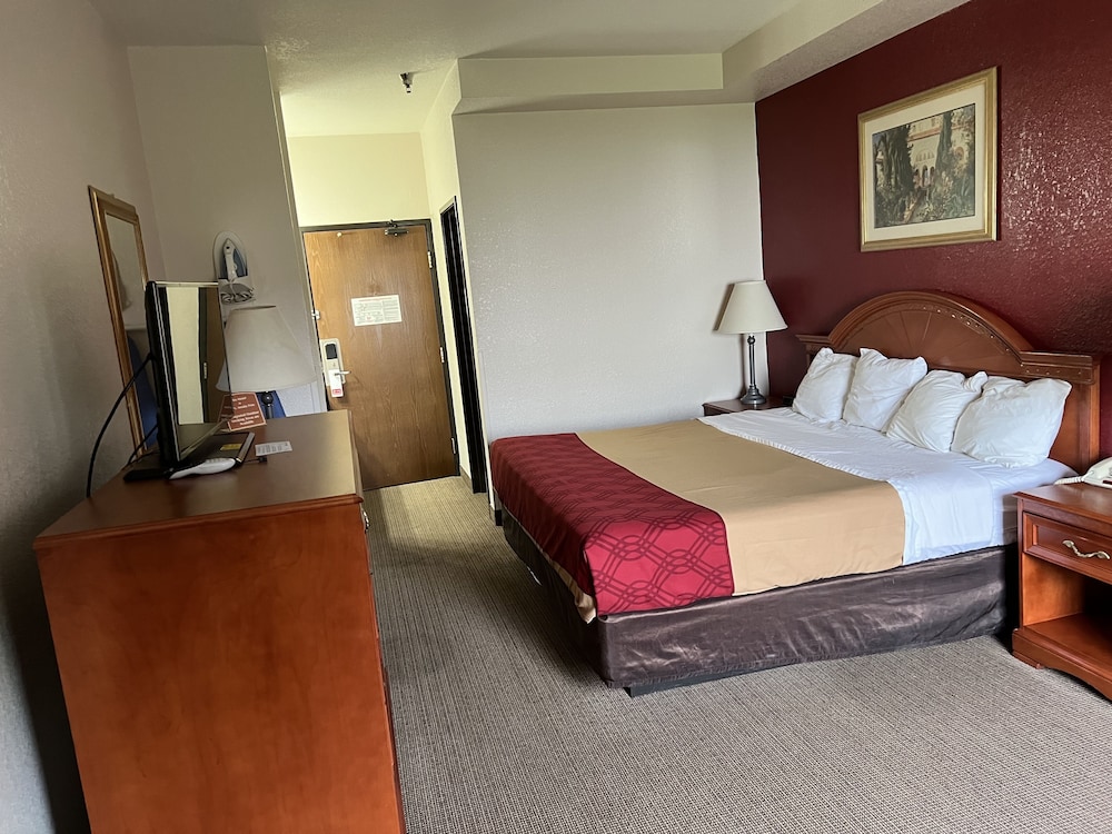 Basic Single Room, 1 King Bed - Photo 9