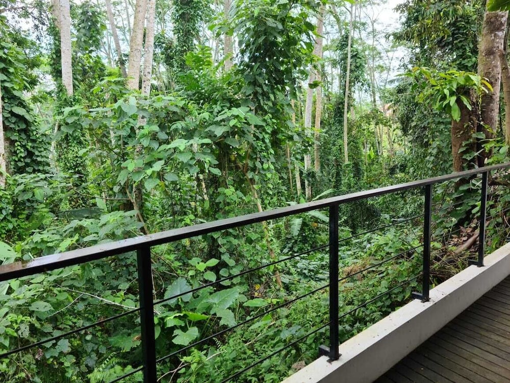 The Nature Suite - Photo 5