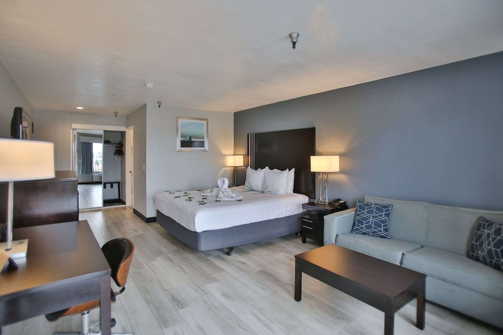 Suite, 1 King Bed, Non Smoking, Refrigerator & Microwave (With Sofabed) photo 1
