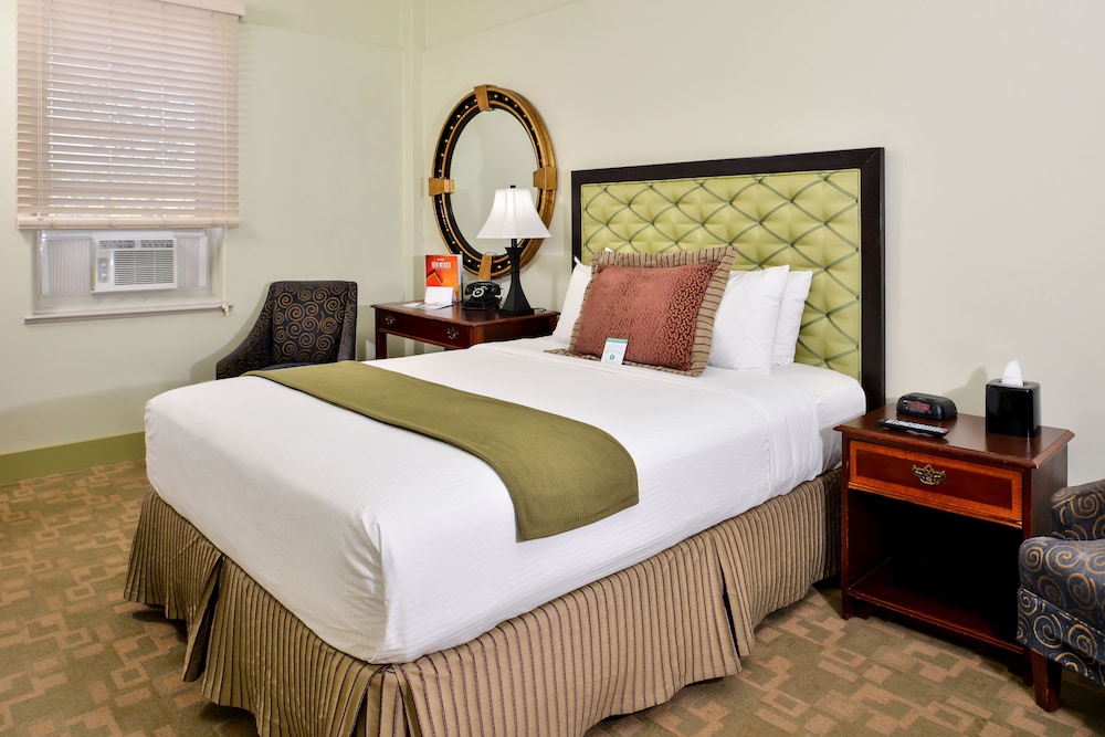Room, 1 Queen Bed photo 1