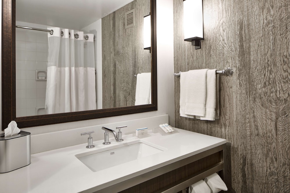 Suite, 1 King Bed, Accessible - Photo 8