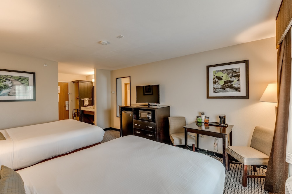Standard Room, 2 Queen Beds, Non Smoking, Refrigerator (Pet Friendly) - Photo 2