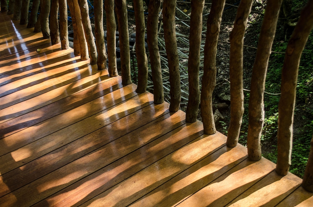 Forest House (Small) photo 2