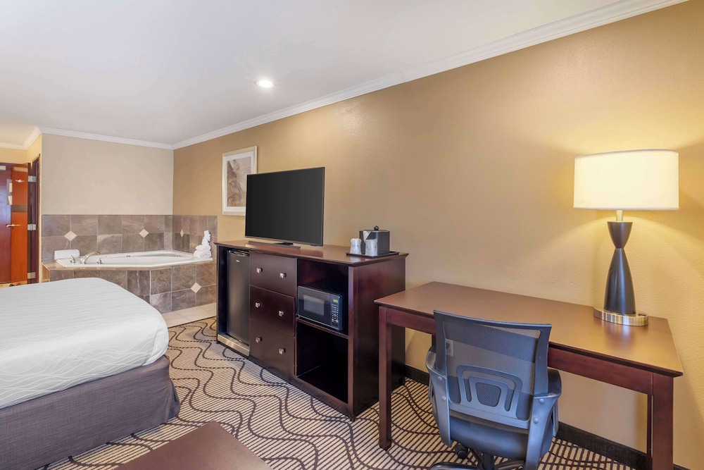 Standard Room, 1 King Bed, Non Smoking, Jetted Tub (with Sofabed) - Photo 2