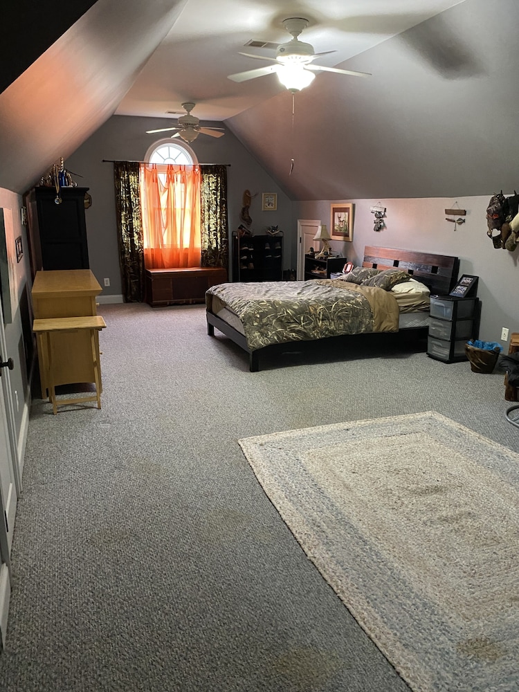 Camo Room photo 1