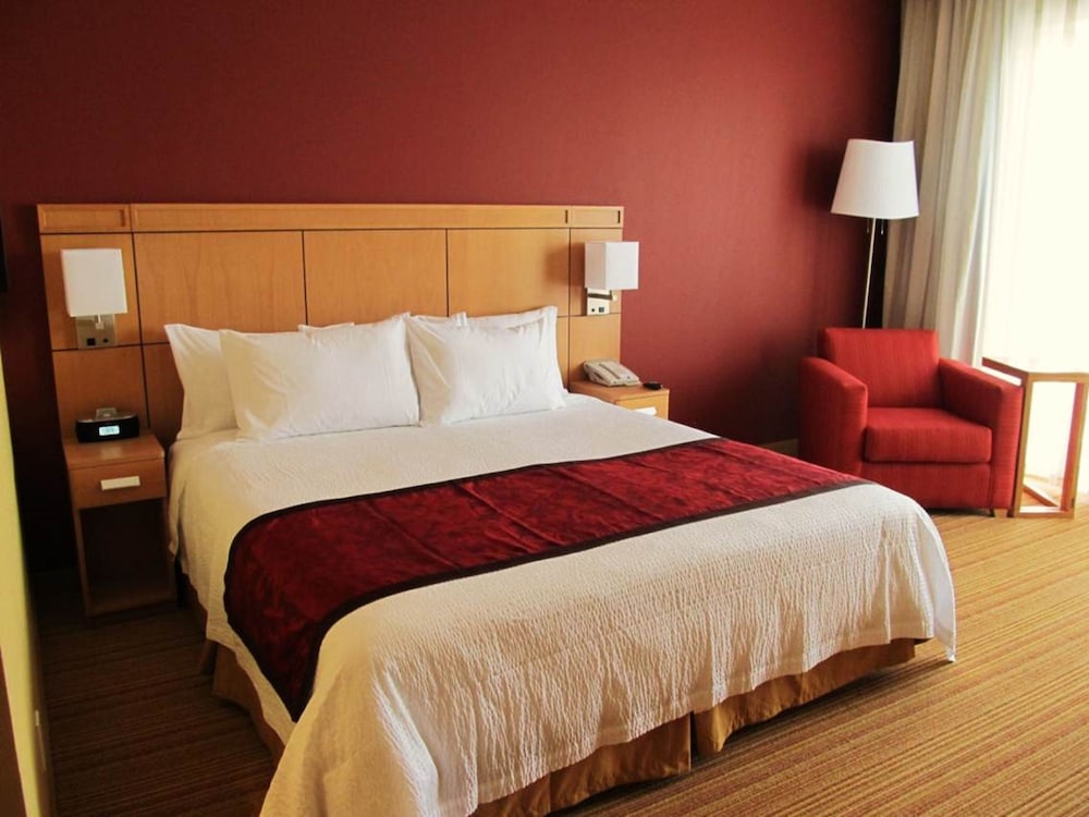 Suite, 1 Bedroom photo 3