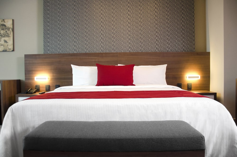 Premier Room photo 2