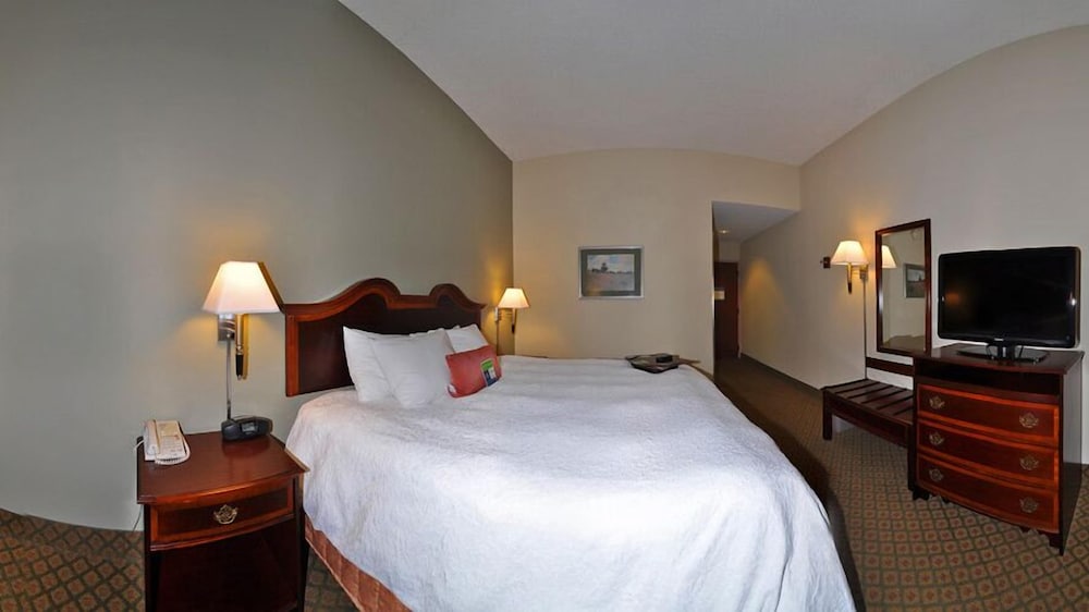 Room, 1 King Bed, Accessible, Non Smoking - Photo 4