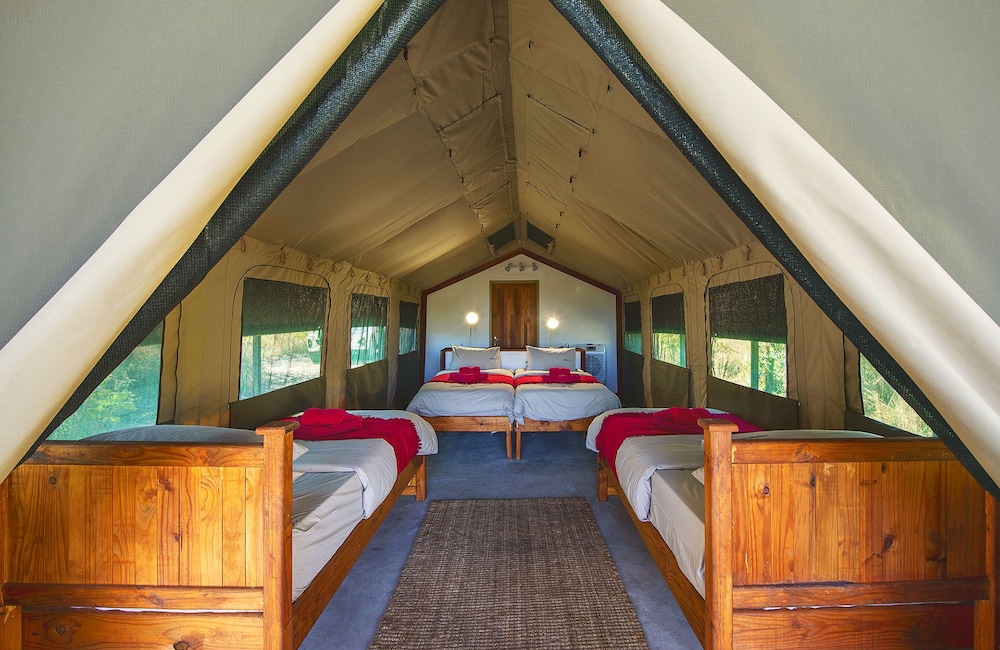Standard Tent photo 1