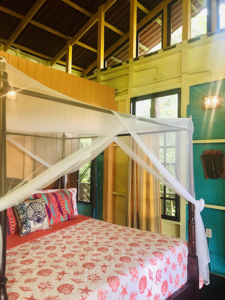 Standard Double Room, 1 King Bed, Ocean View photo 2