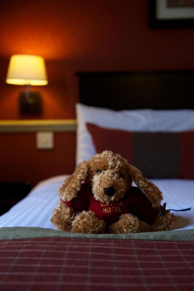 Double Room, 1 Double Bed (Loch View) photo 3