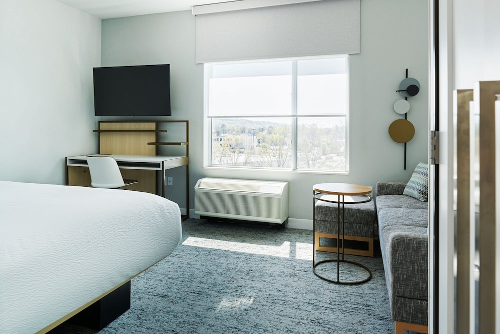 Studio, 1 King Bed with Sofa bed (Mobility Accessible, Roll-In Shower)