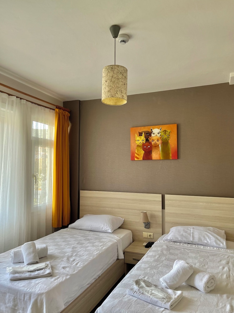 Standard Twin Room photo 2