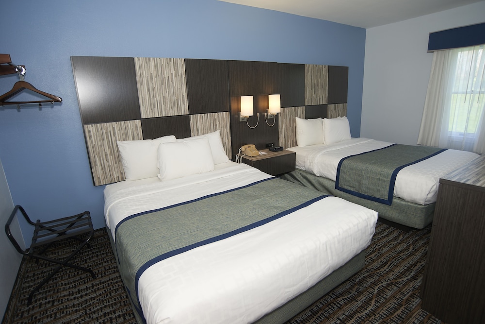Deluxe Suite, Multiple Beds photo 3