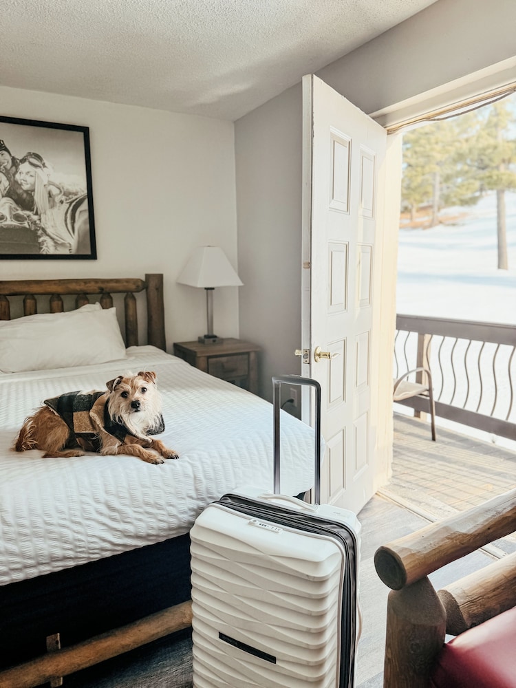Room, 1 King Bed (Lodge)