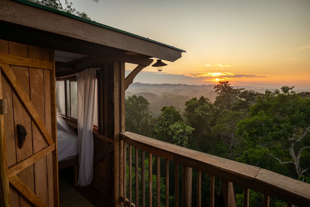 Luxury Tree House photo 3