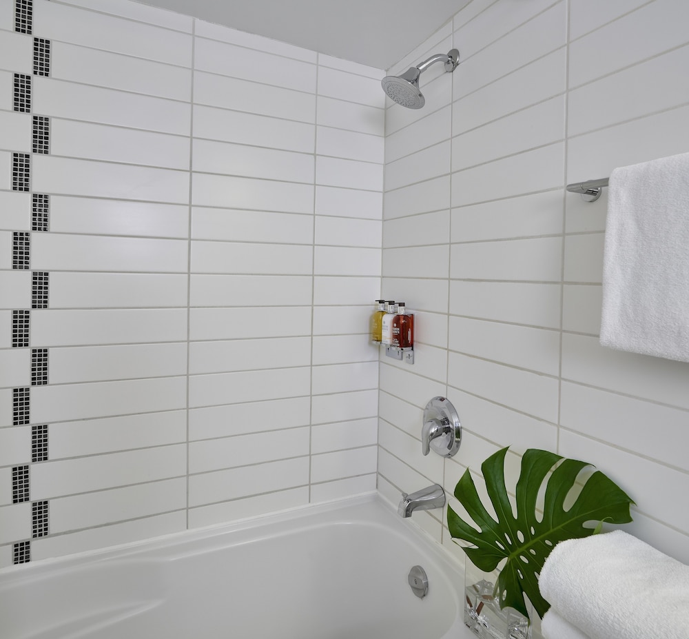 Premium Room, 2 Double Beds - Photo 6