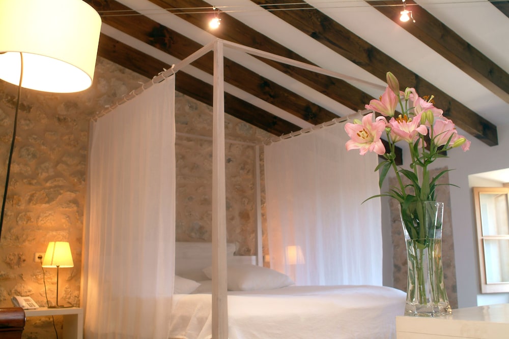 Junior Suite (Standard)
