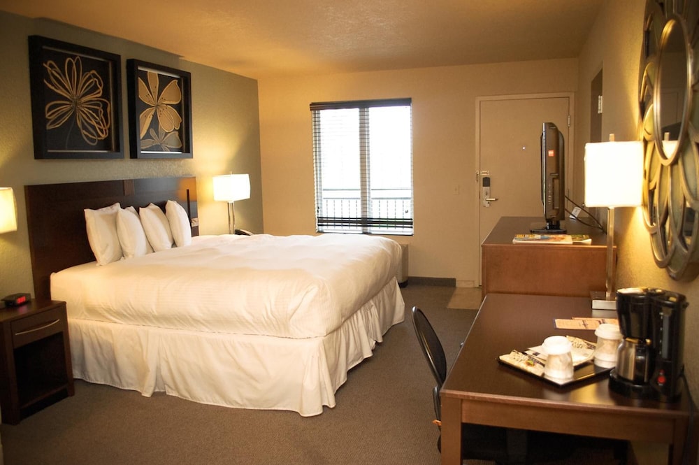 Executive one king bed non smoking - Photo 3