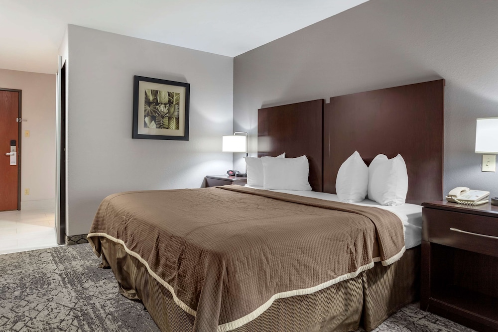 Suite, 1 King Bed with Sofa bed, Non Smoking, Refrigerator & Microwave (with Sofabed)