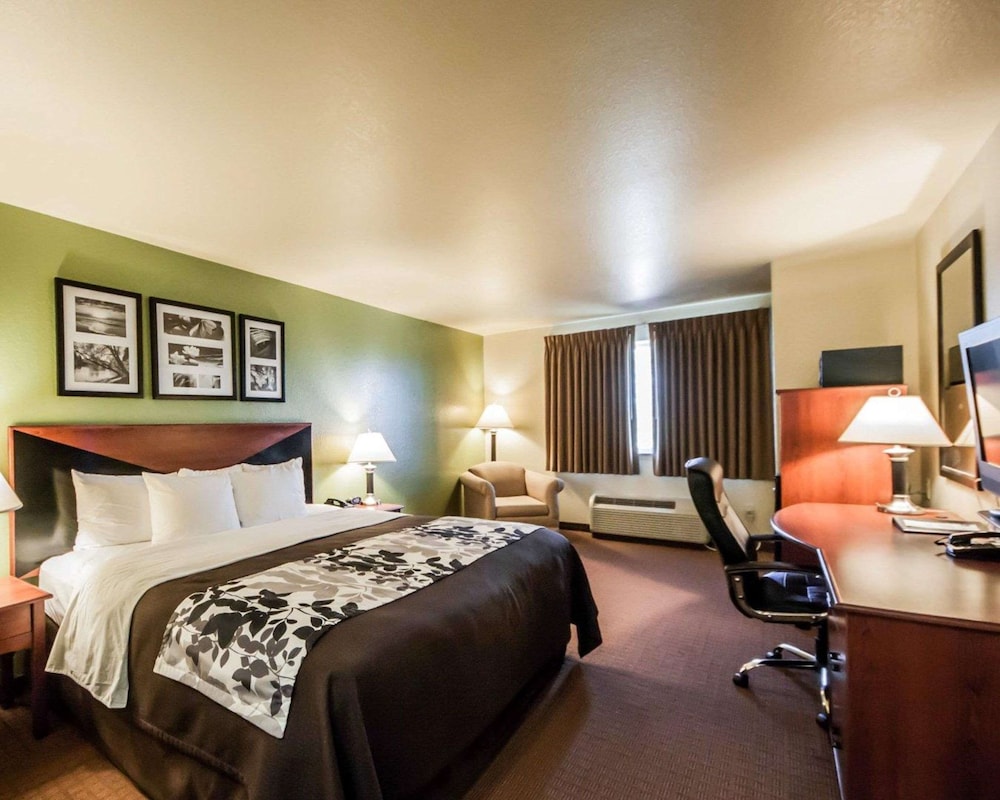Standard Room, 1 King Bed, Non Smoking - Photo 4