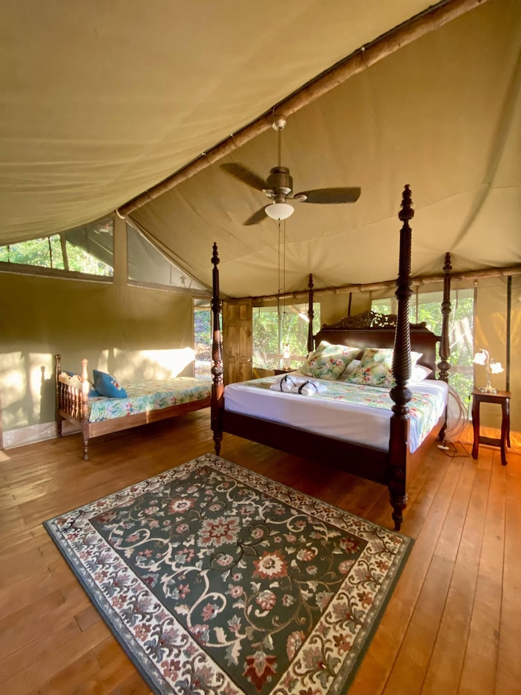 Luxury Tree House, 2 Bedrooms, Hill View photo 2