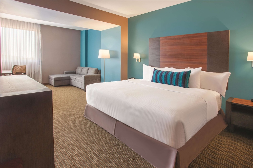 Executive Room, 1 King Bed photo 1