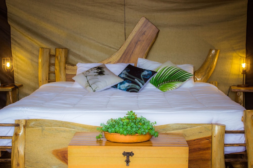 Luxury Tent, 1 King Bed photo 3