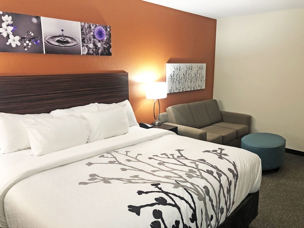 Suite, 1 King Bed with Sofa bed, Non Smoking - Photo 3