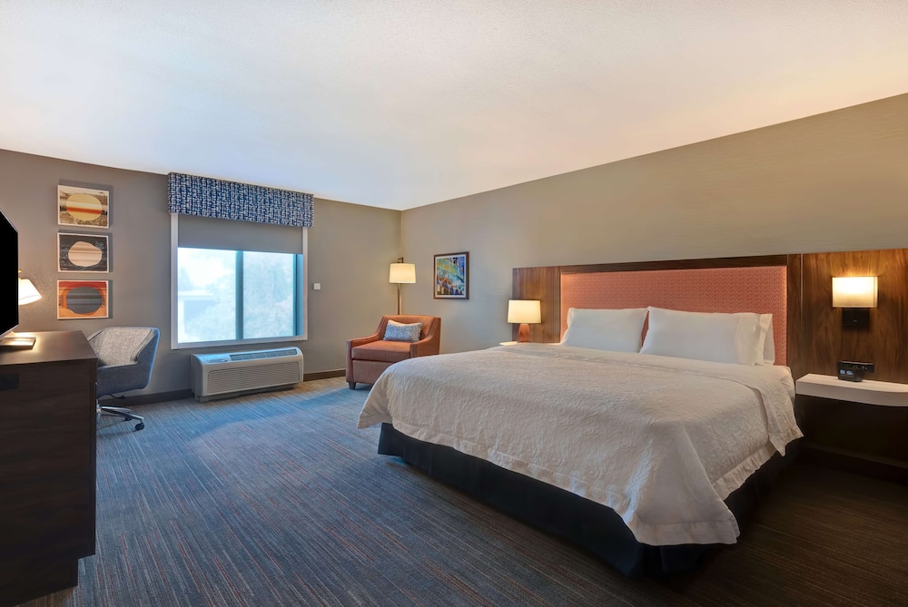 Room, 1 King Bed, Accessible, Non Smoking (Roll-in Shower) - Photo 3