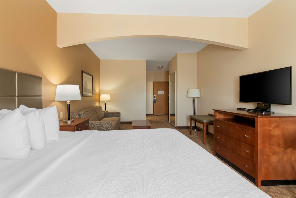 Standard Room, 1 King Bed, Non Smoking, Refrigerator & Microwave photo 3