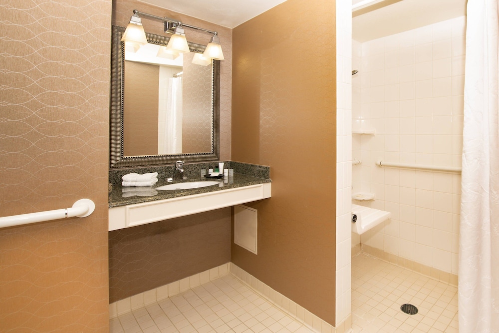 Room, 1 King Bed (Mobility/Hearing Access, Roll-In Shwr) - Photo 4