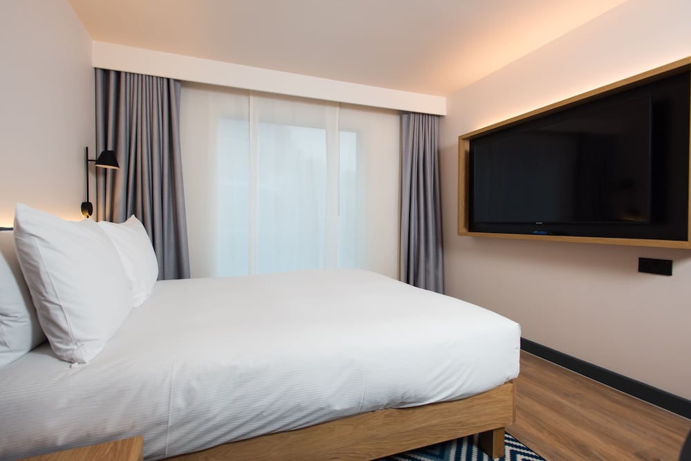 Room, 1 King Bed With Sofa Bed