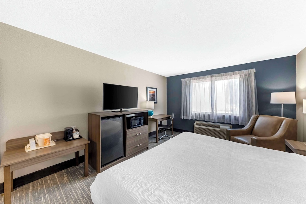 Room, 1 King Bed, Accessible, Non Smoking (Accessible Tub) - Photo 4