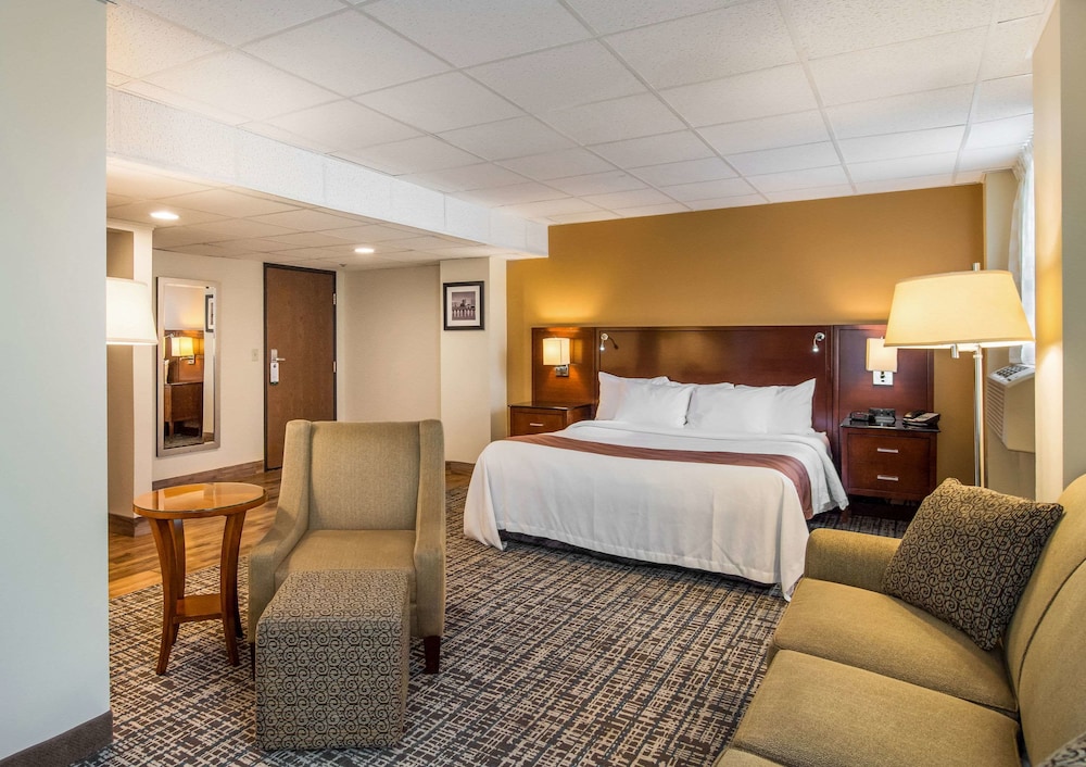 Standard Room, 1 King Bed, Non Smoking - Photo 1