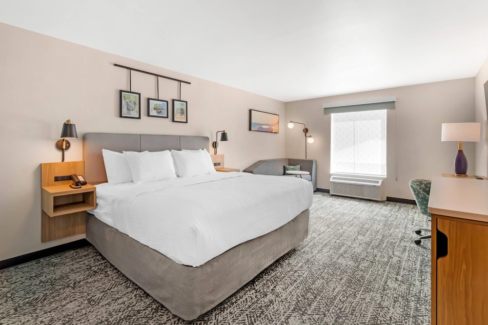 Standard Room, 1 King Bed with Sofa bed, Non Smoking