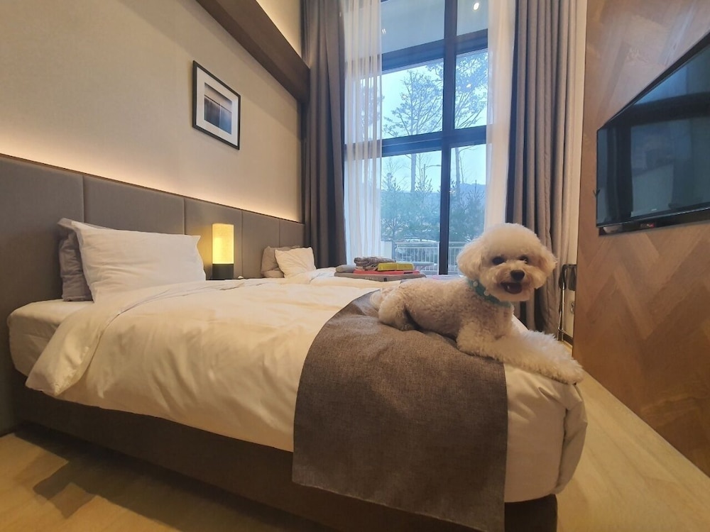 Standard Twiin Room, Pet Friendly