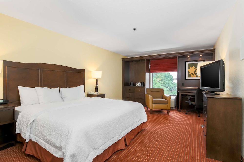 Room, 1 Queen Bed, Accessible, Bathtub (Mobility & Hearing) - Photo 1