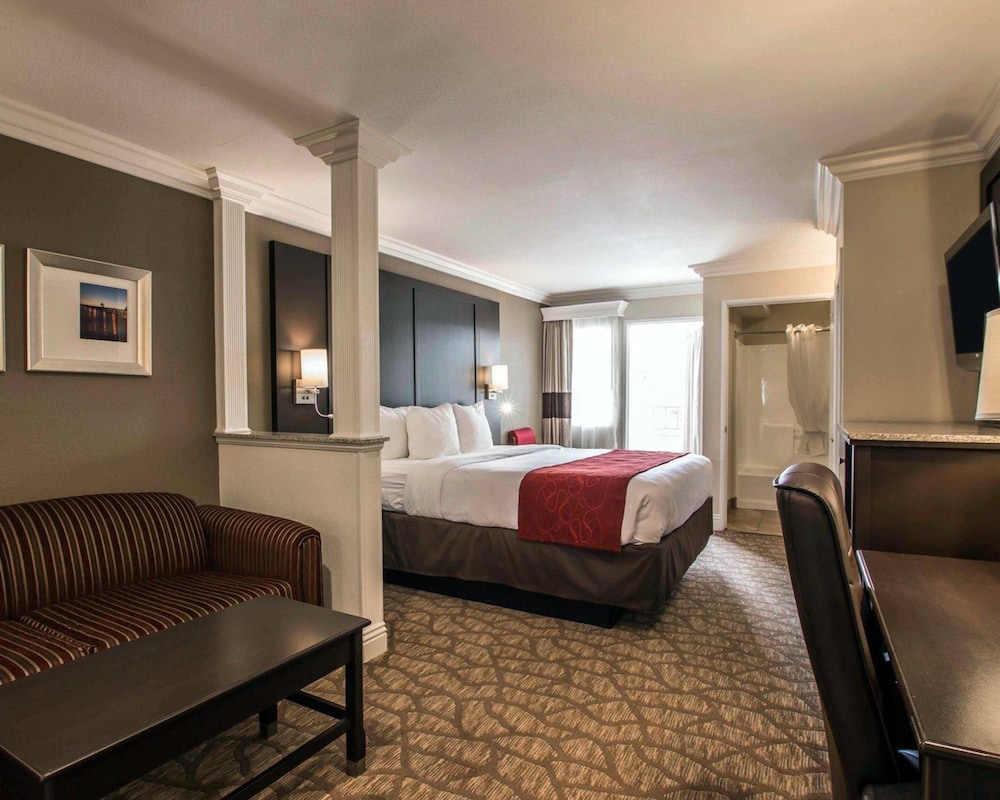 Suite, 1 King Bed with Sofabed, Accessible Roll-In Shower, Non Smoking - Photo 1