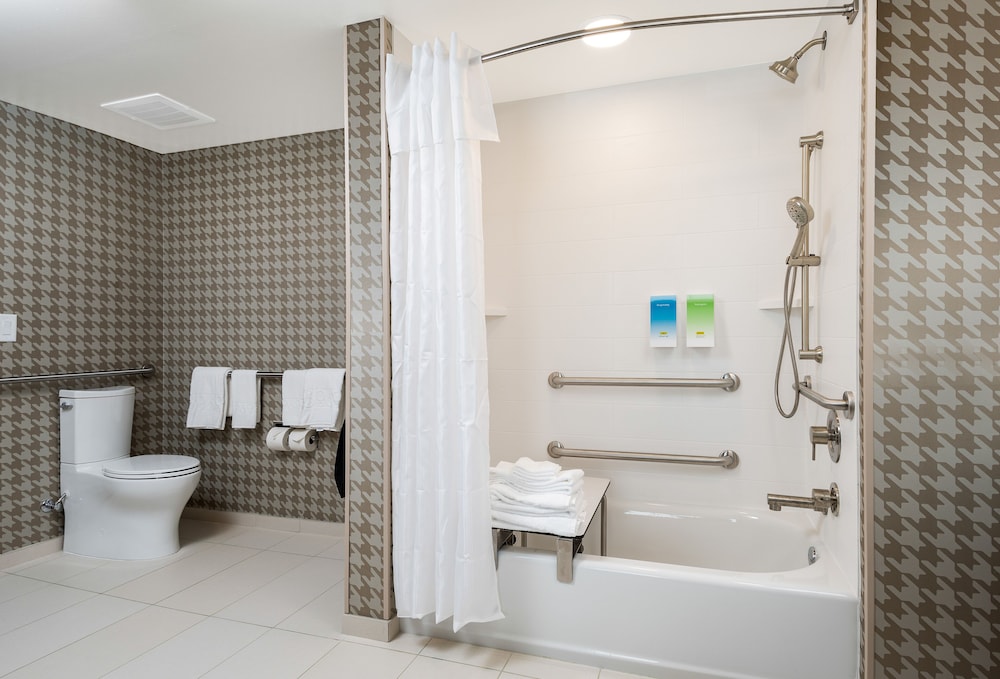 Suite, 1 King Bed, Accessible, Bathtub (Mobility & Hearing) - Photo 6