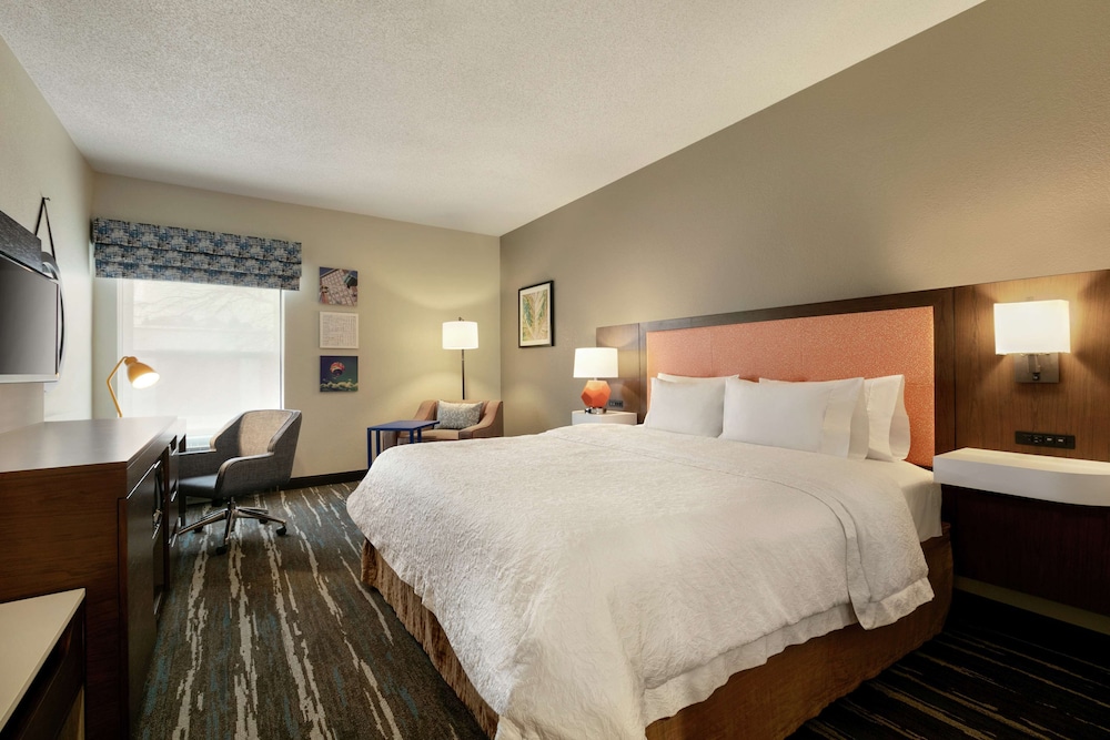 Room, 1 King Bed, Accessible - Photo 5