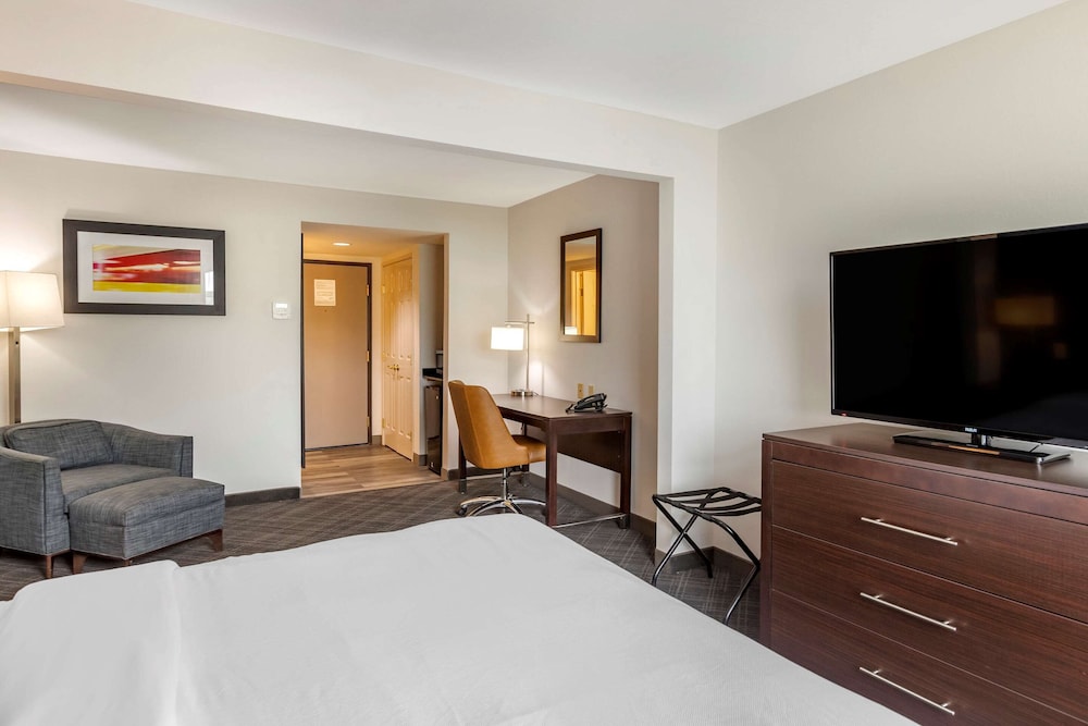 Room, 1 King Bed, Accessible, Non Smoking - Photo 3