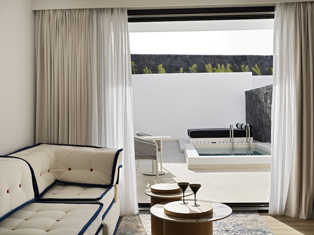 Junior Suite with Inner Courtyard View & Plunge Pool - Photo 8
