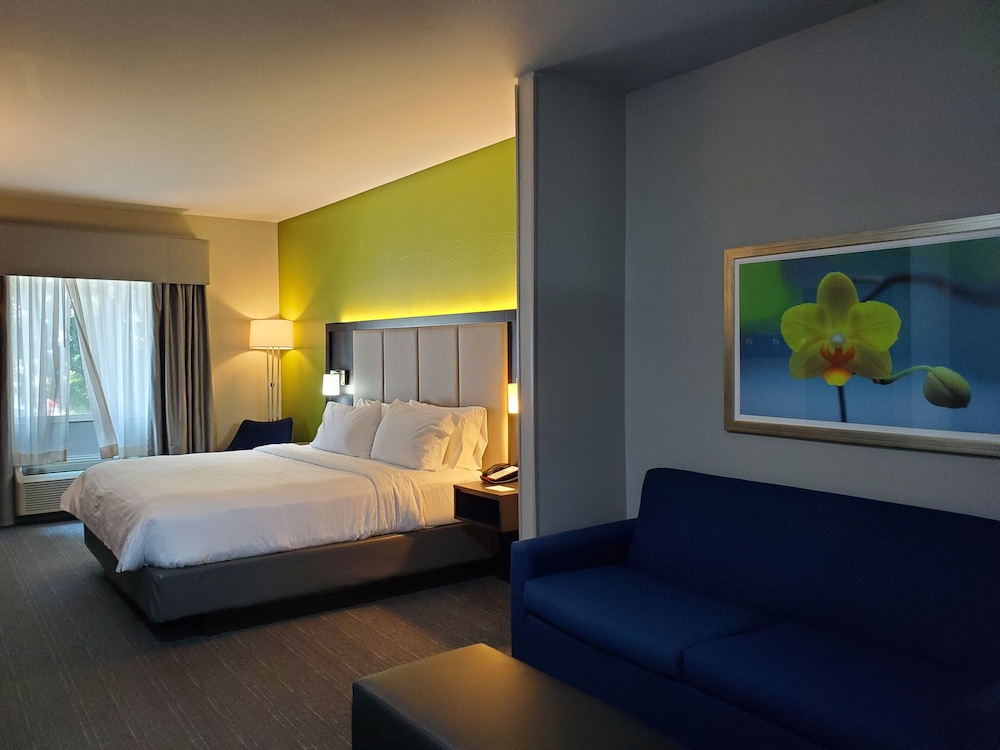 Suite, 1 King Bed (Additional Living Area) - Photo 1