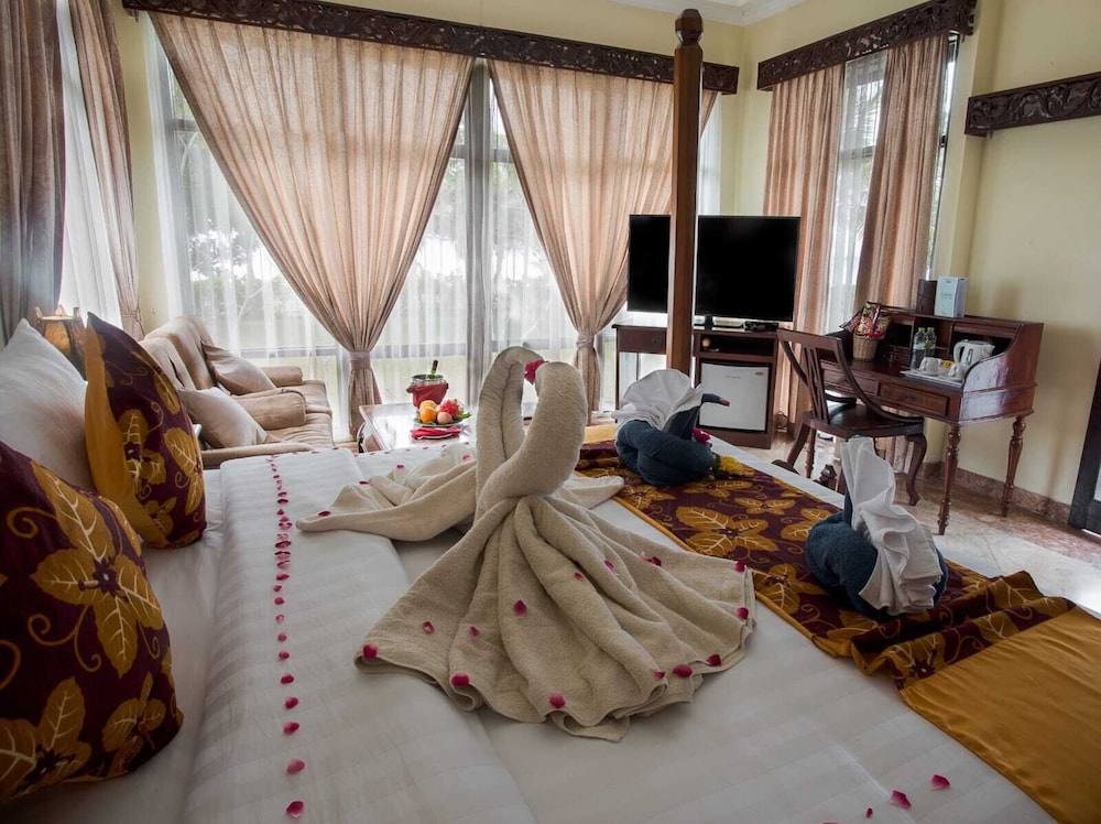 Junior Villa photo 3