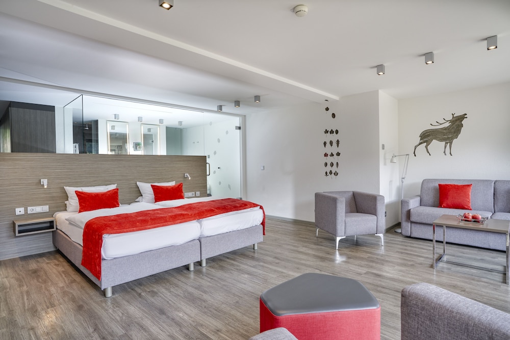 Premium Room (Haus Kohlwald)
