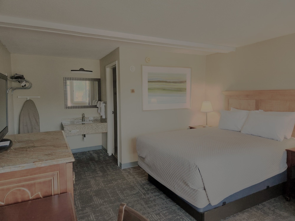 Room- Dog Friendly Queen Deluxe Room w/Sleeper photo 2